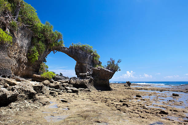 istock Natural arch, Neil island 502619118