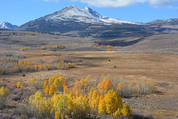 istock Fall Colors against Sierra Mountains 502619812