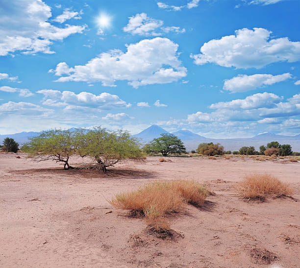 Landscape of Atacama desert. Chile.