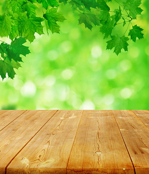 istock summer background with wooden planks 502620475