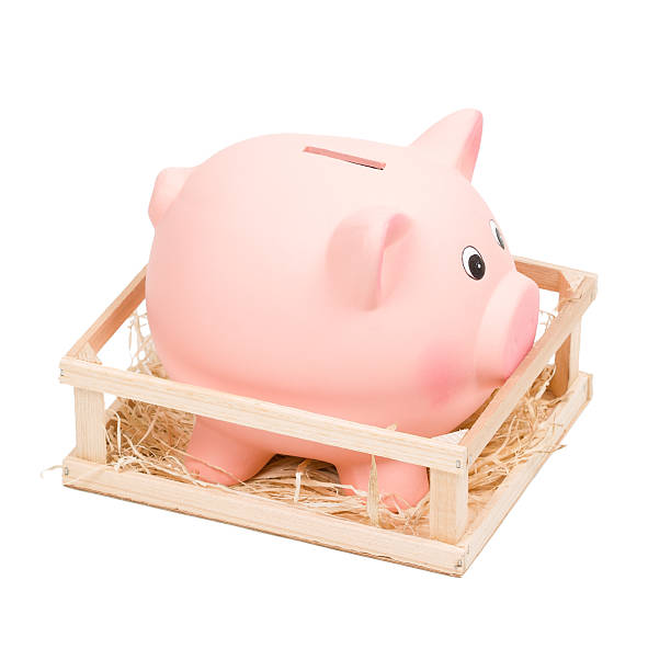 istock Piggy bank 502622031