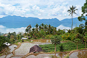 terrasse-reisfelder-nahe-lake-maninjau.jpg?b=1&s=170x170&k=20&c=7QTllzXWkM6lXcO8TxlavXEhoPMruYAirtml-m8TRqg=