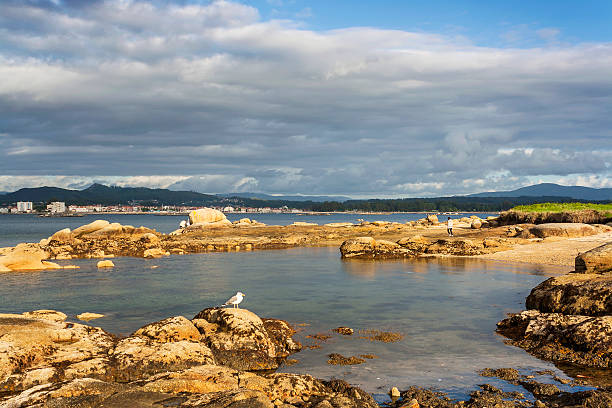 istock Rocky coast and cove 502633632