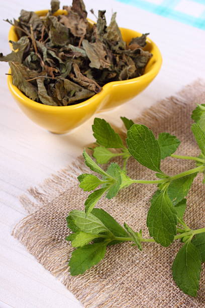 istock Fresh and dried lemon balm in bowl on wooden table 502636814
