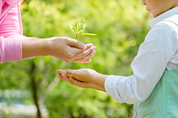 istock Mother and son hands holding new plant 502637920