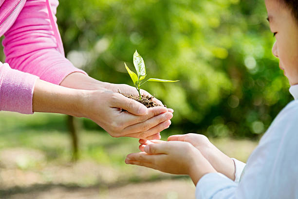 istock Mother and son hands holding new plant 502638098