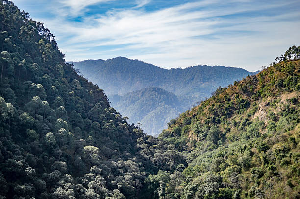 istock Long view of valley and mountains 502638730