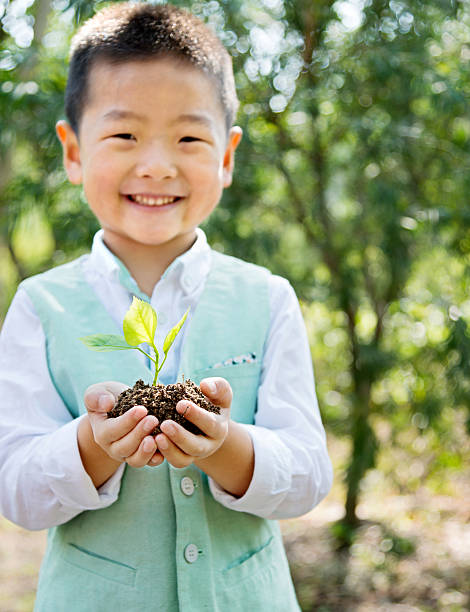 istock Littel boy holding plant 502638876