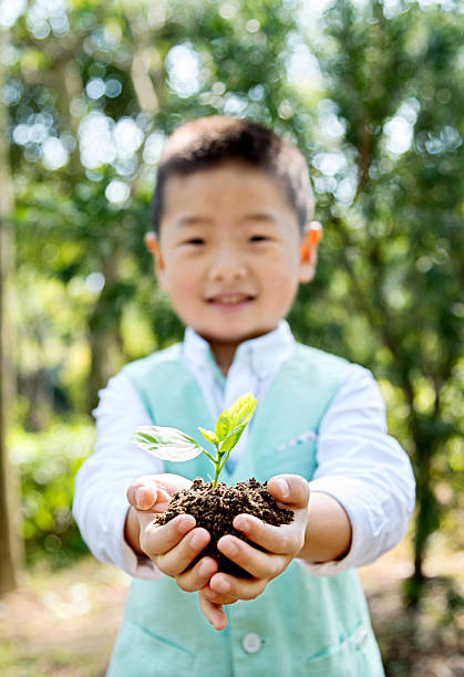 istock Littel boy holding plant 502638950
