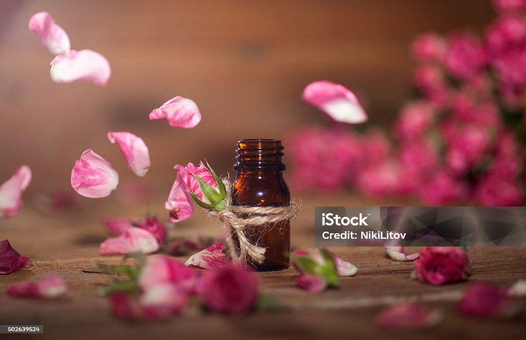 L'huile essentielle de Rose - Photo de Rose - Fleur libre de droits