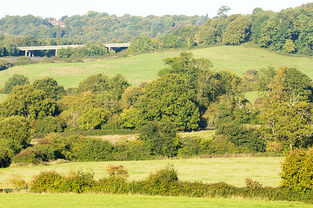 Scenic beauty overlooking the A21 road near Sevenoaks