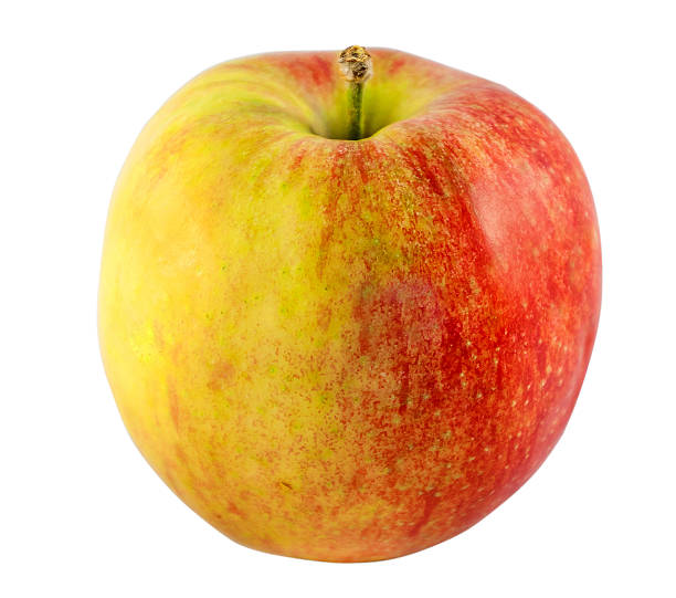 istock Tasty ripe red apples, close up on white background. 502640312