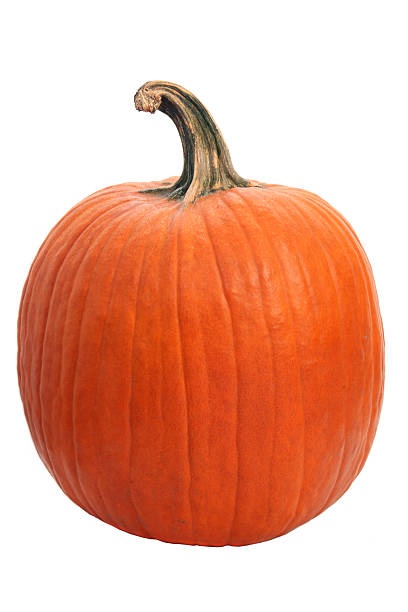 Halloween pumpkin on white - XXL stock photo