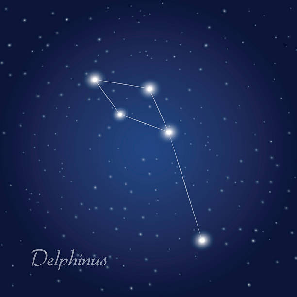 Delphinus constellation Delphinus constellation at starry night sky  constellation delphinus stock illustrations