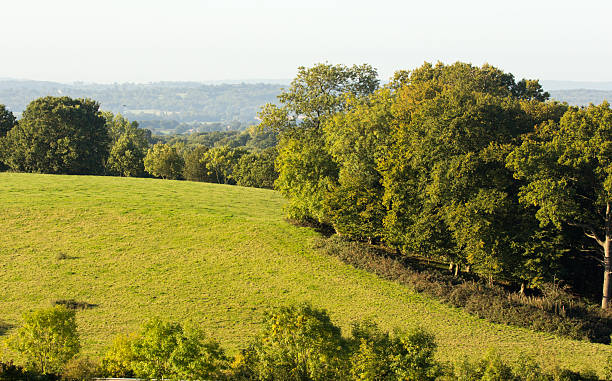 istock Riverhill in Sevenoaks, England 502640972