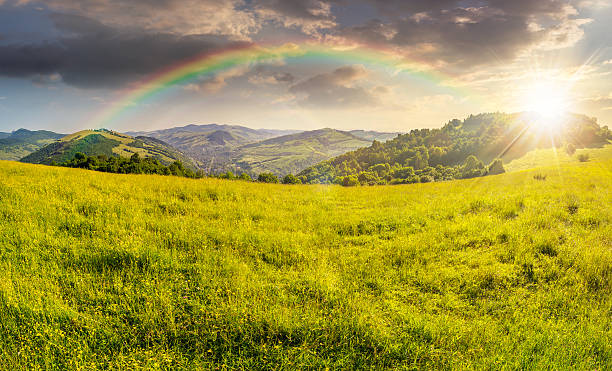 istock agricultural field in mountains at sunset 502641312