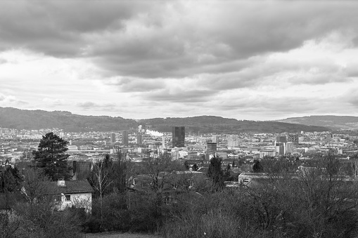 Skyline of Zurich City in Black and White
