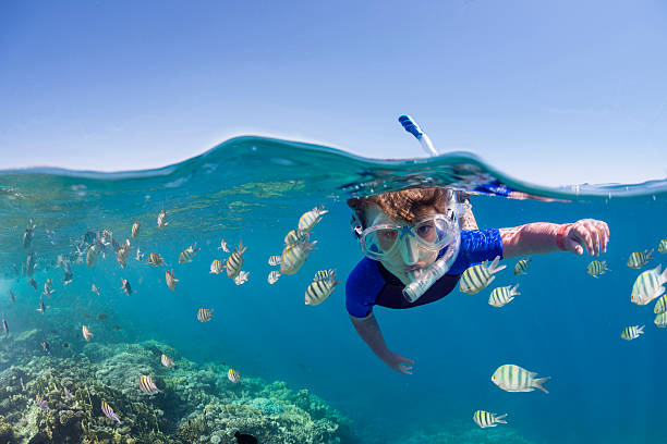 Kid on the reef Child snorkeling over colorful tropical reef snorkel photos stock pictures, royalty-free photos & images