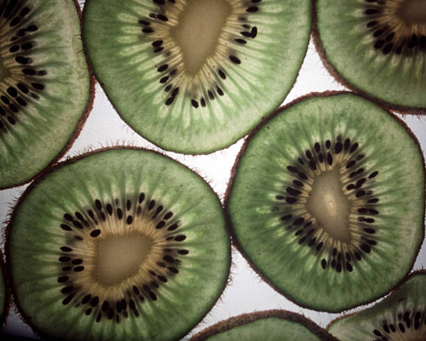 Fatia de Kiwi - foto de acervo