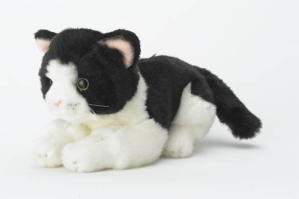 Black and White Toy Cat stock photo