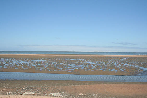 istock Walvis Bay, Lagoon, Namibia, Africa 502643399