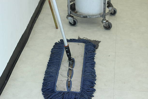 istock Cleaning equipment in dwellings and office efficiency 502644386