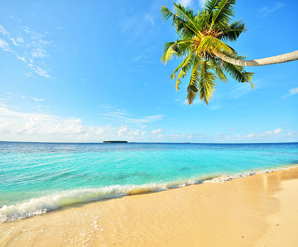 istock Tropical paradise beach with golden sand 502646702