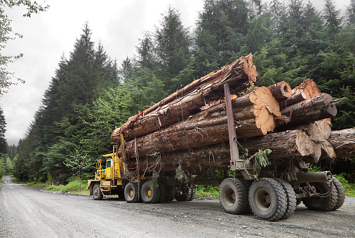 Heavy duty logging truck pulled over on the side of a remote logging road in northern Vancouver island.