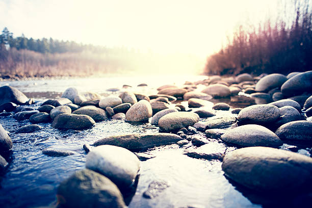 avec des galets de rivière - sea stone photos et images de collection