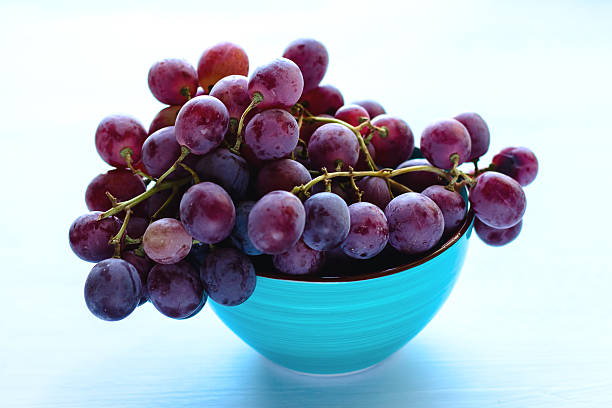 istock Bunch of blue grapes on blue background 502647259