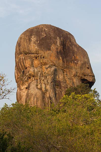 istock Safai in the Yala Nationalpark 502647641