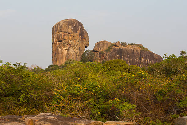 istock Safai in the Yala Nationalpark 502659157