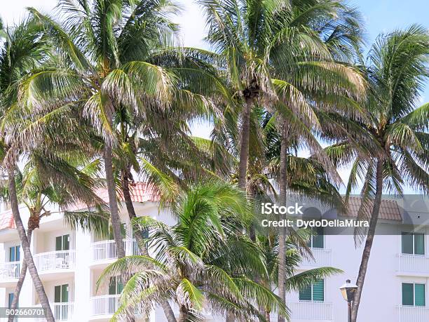 Palm Trees And Tropical Apartments Stock Photo - Download Image Now - Apartment, Atlantic Ocean, Beach