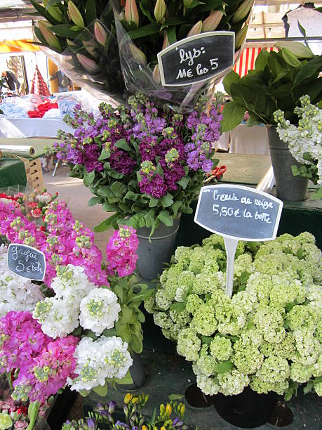 istock Paris Flower Market 502662284