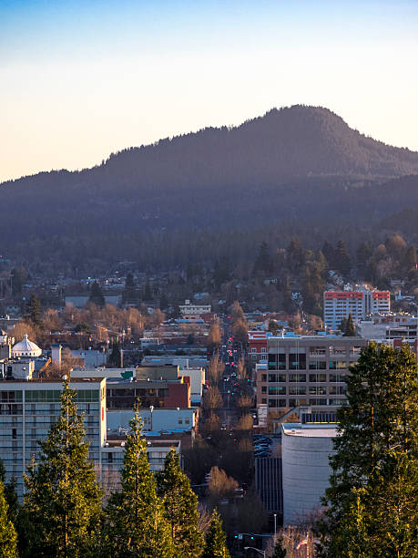 istock Eugene Oregon Downtown Area from Skinner Butte Vertical 502664762