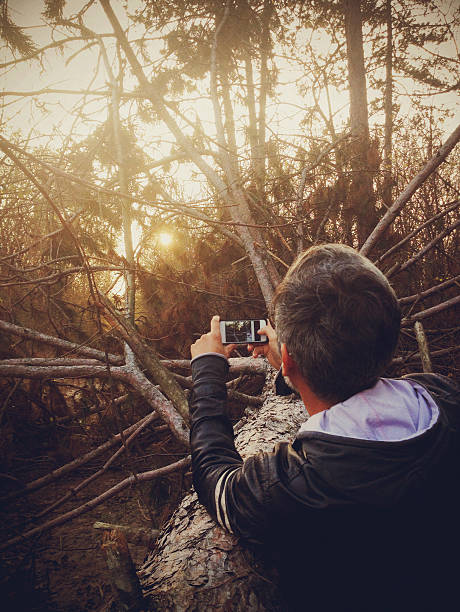 istock Man photographing pine tree in the forest 502665652