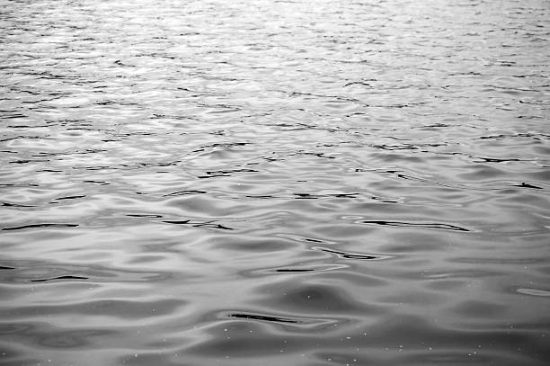 istock water surface of lake in black & white style 502666680