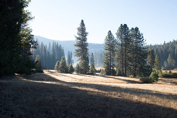 istock Yosemite National Park 502671104