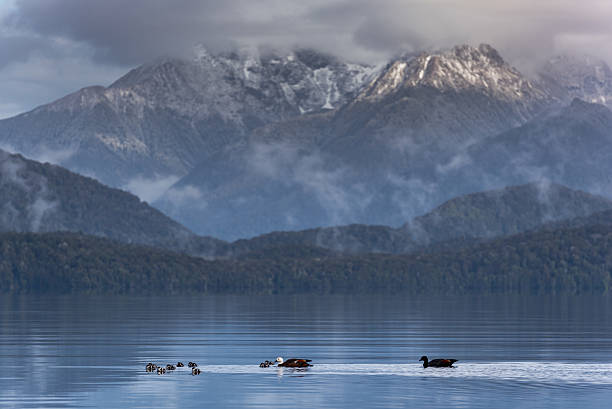 lago te anau - te anau foto e immagini stock