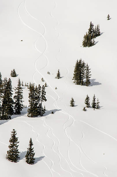 istock Fresh Ski Tracks in the Alpine Powder Snow 502673978