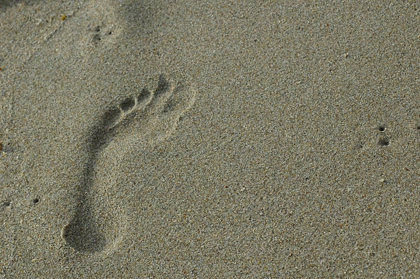 Footprint in the Sand