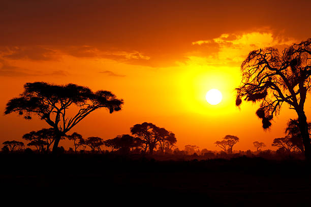 Typical african sunset stock photo