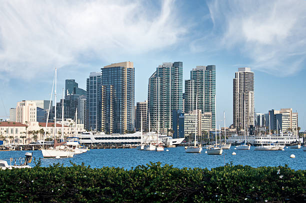 istock San Diego Skyline, California 502683387