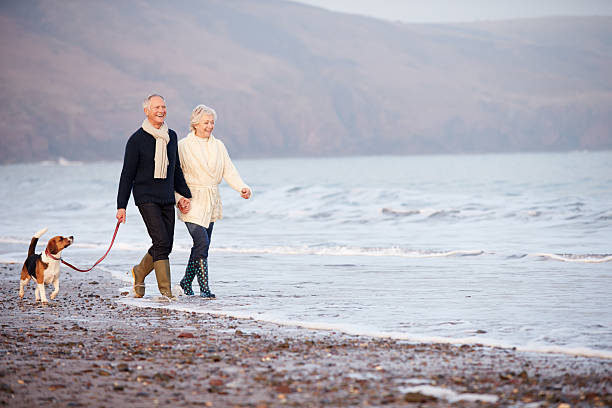 senior couple marchant le long de la plage avec un chien en hiver - pets winter horizontal outdoors photos et images de collection