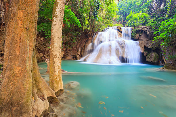 istock Deep forest Waterfall in Kanchanaburi in Thailand. 502685459