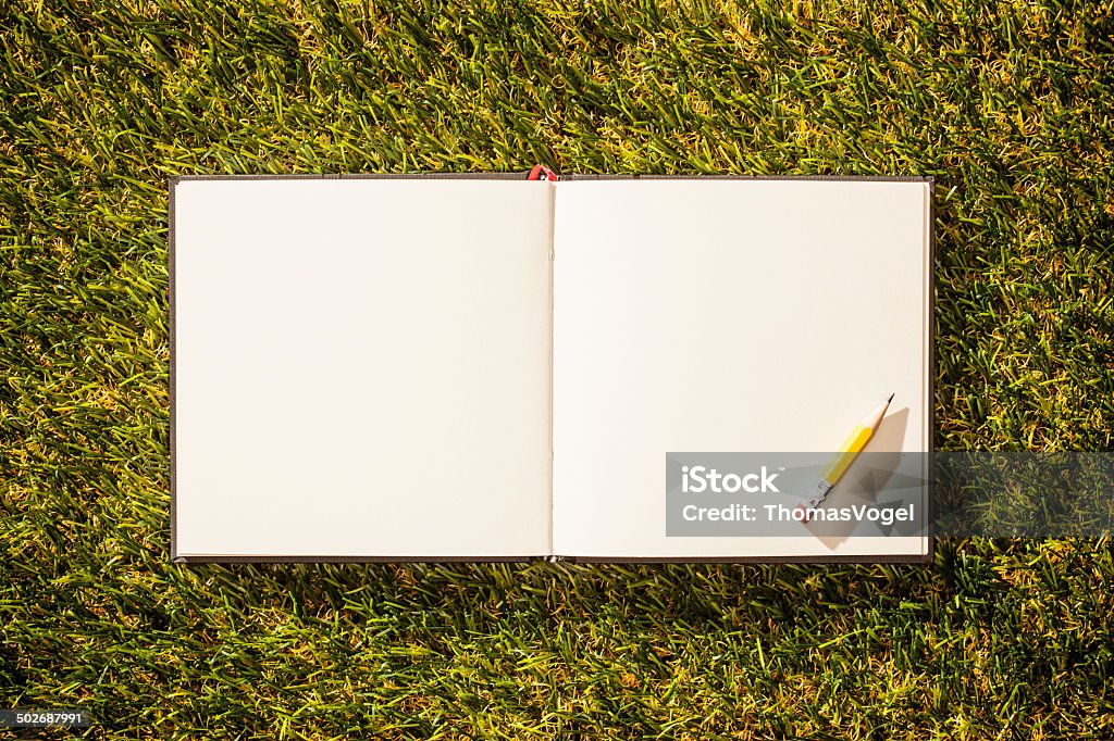 Cuaderno y un lápiz sobre hierba - Foto de stock de Aire libre libre de derechos