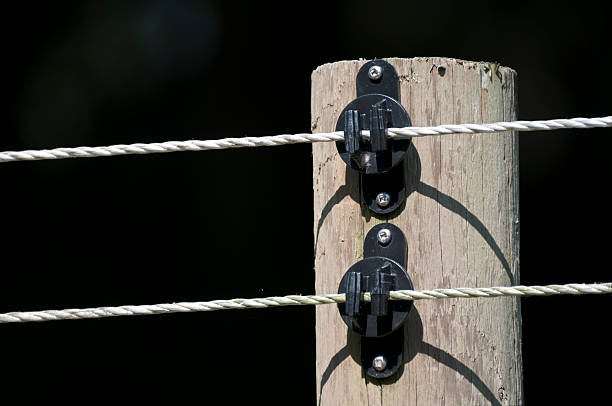 Electrified wires on fence post at horse ranch