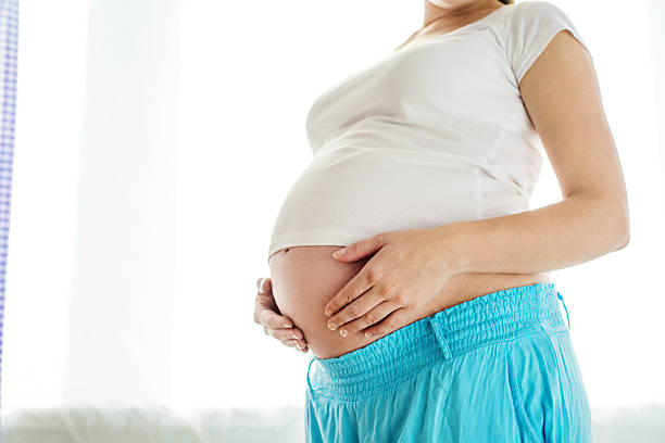 istock Pregnant woman at home 502689657