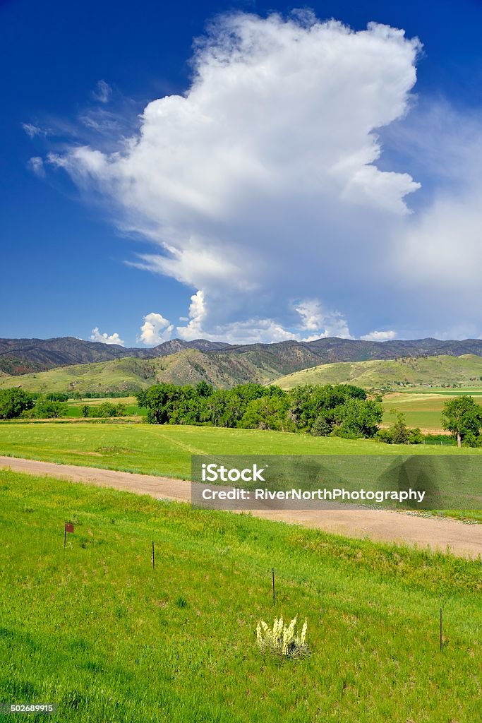 Colorado Landscape Colorado landscape with Rocky Mountains in the background. Taken outside of Fort Collins. Beauty In Nature Stock Photo