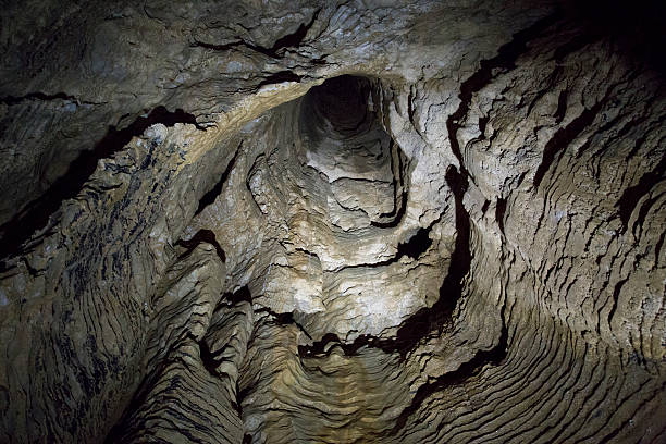 istock Waitomo Caves, New Zealand 502696168
